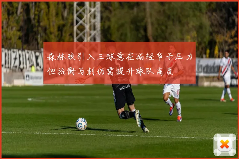 森林狼引入三球意在减轻华子压力但抗衡马刺仍需提升球队高度