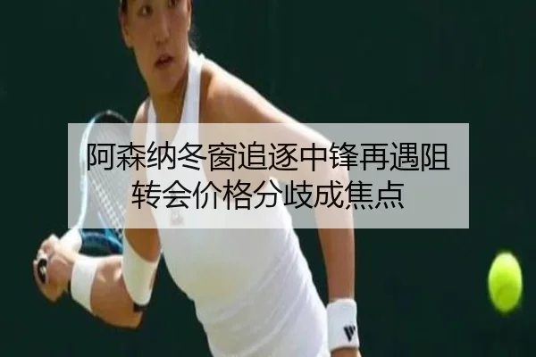阿森纳冬窗追逐中锋再遇阻 转会价格分歧成焦点 - kaiyun